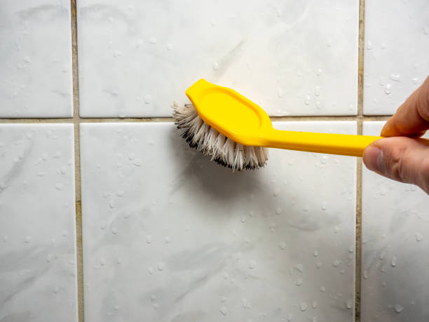 Best Best Mold Removal Companies  in Greenup, IL