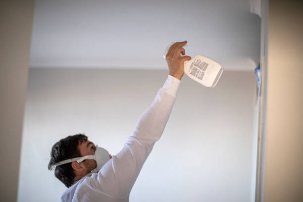 Best Mold Damage Repair  in Greenup, IL