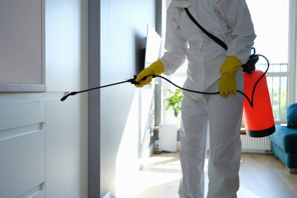 Best Attic Mold Removal  in Greenup, IL