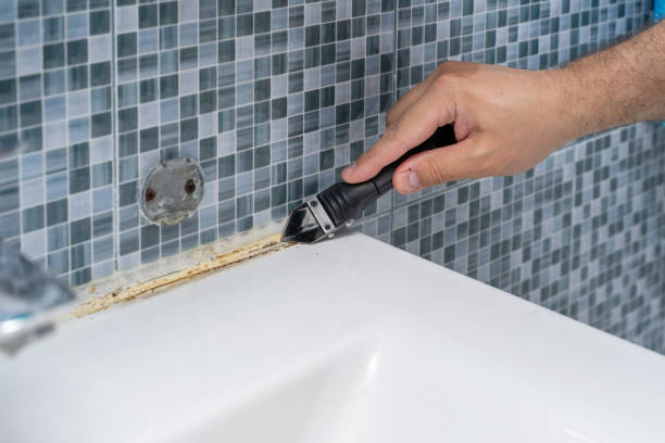 Best Mold Inspection  in Greenup, IL