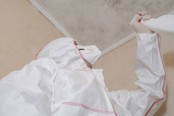 Best Professional Mold Removal  in Greenup, IL
