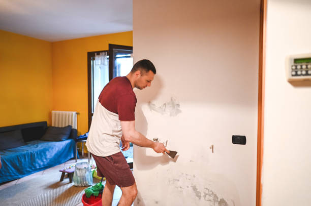Best Office Mold Removal Services  in Greenup, IL